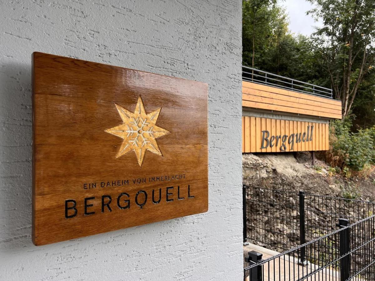 Haus Bergquell App 2 Apartman Willingen  Kültér fotó